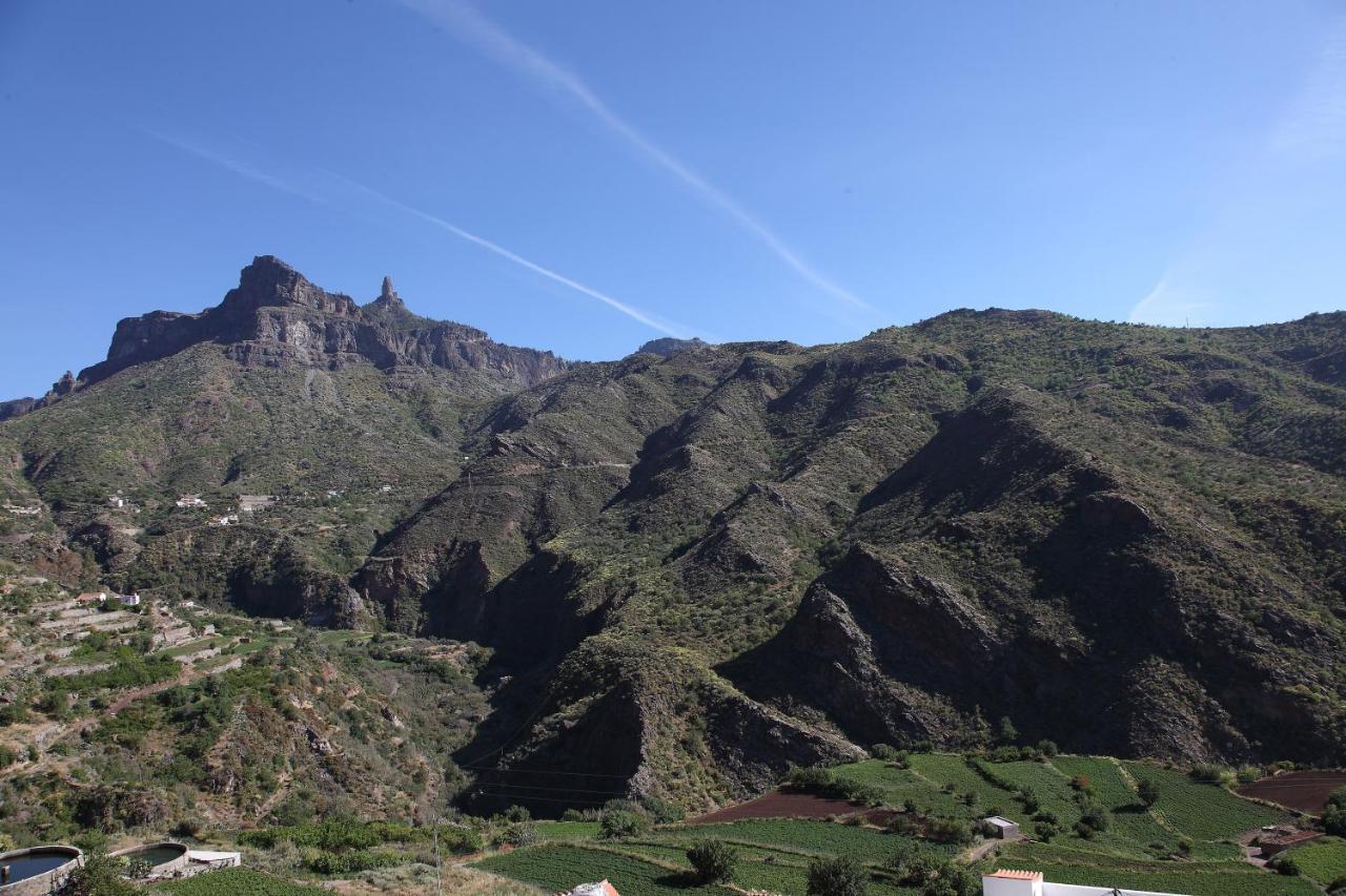 Vacacional La Tea The Best Location And The Best Views تيخيدا المظهر الخارجي الصورة