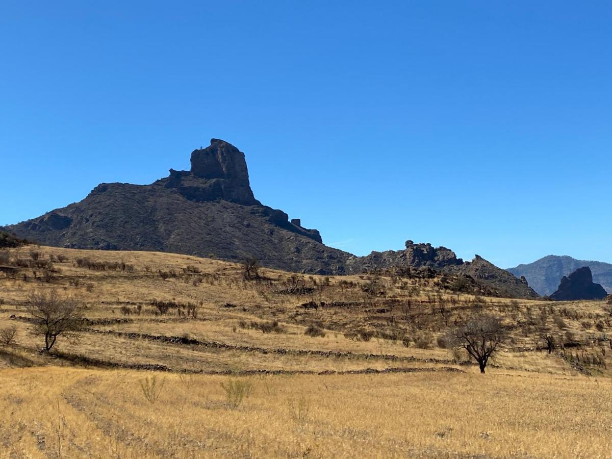 Vacacional La Tea The Best Location And The Best Views تيخيدا المظهر الخارجي الصورة